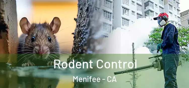  Rodent Control Menifee - CA