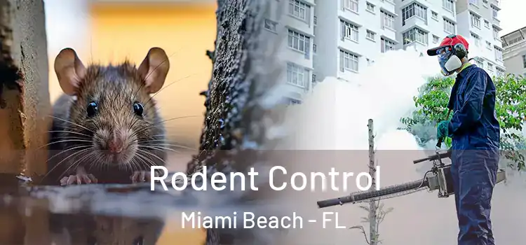 Rodent Control Miami Beach - FL