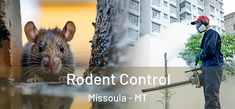 Rodent Control Missoula - MT