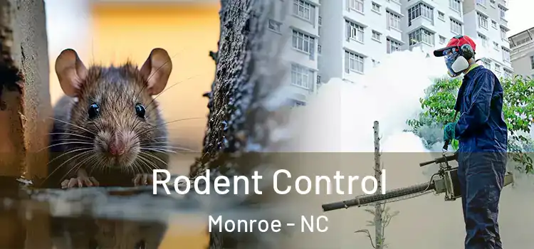  Rodent Control Monroe - NC