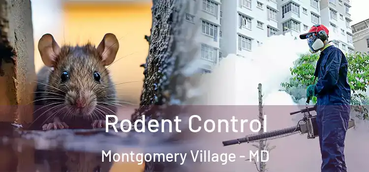  Rodent Control Montgomery Village - MD