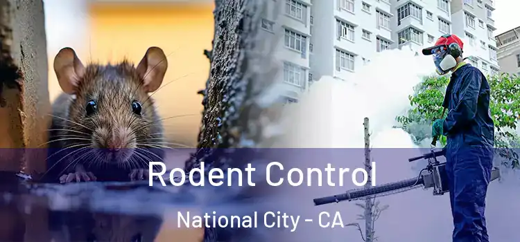  Rodent Control National City - CA