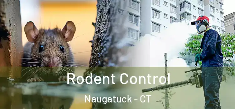 Rodent Control Naugatuck - CT