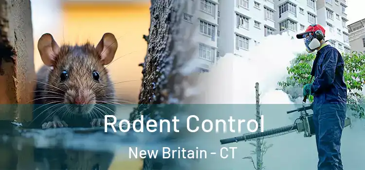 Rodent Control New Britain - CT