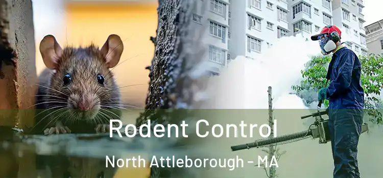  Rodent Control North Attleborough - MA