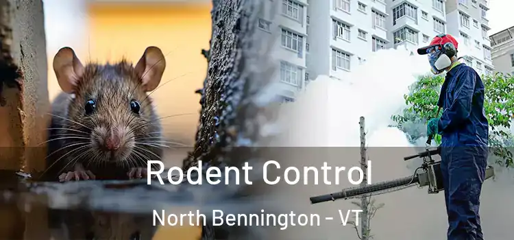  Rodent Control North Bennington - VT