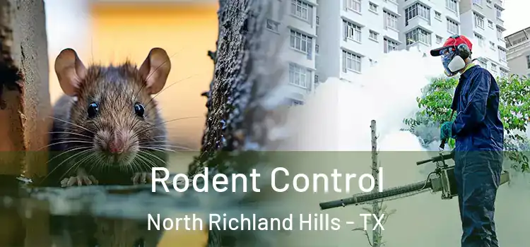 Rodent Control North Richland Hills - TX