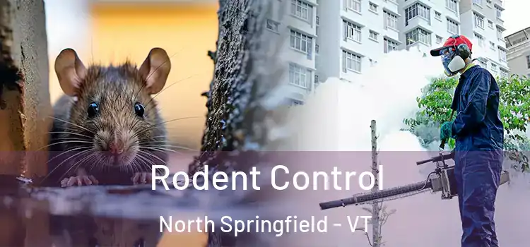  Rodent Control North Springfield - VT