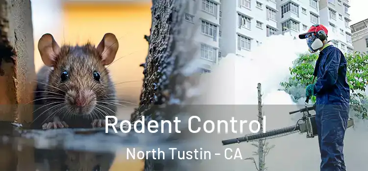  Rodent Control North Tustin - CA