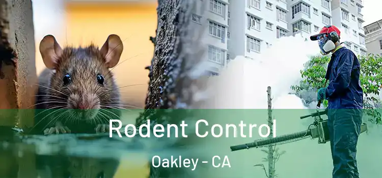  Rodent Control Oakley - CA