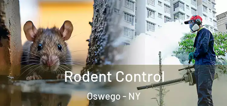 Rodent Control Oswego - NY