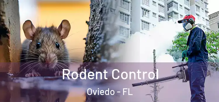  Rodent Control Oviedo - FL
