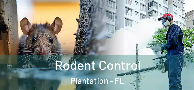 Rodent Control Plantation - FL