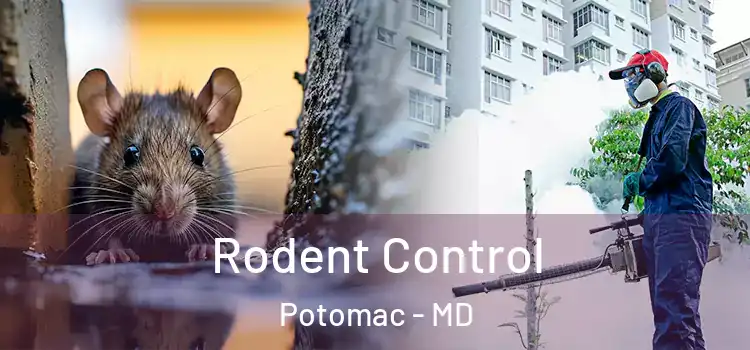  Rodent Control Potomac - MD