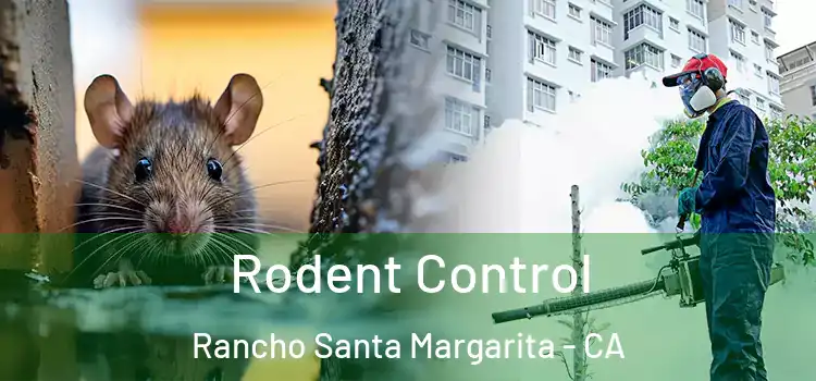  Rodent Control Rancho Santa Margarita - CA