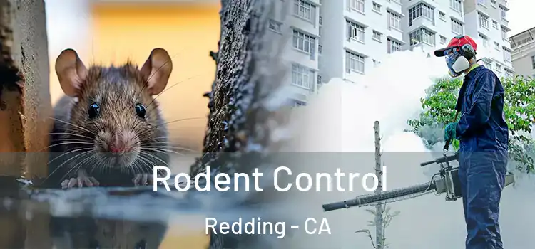  Rodent Control Redding - CA