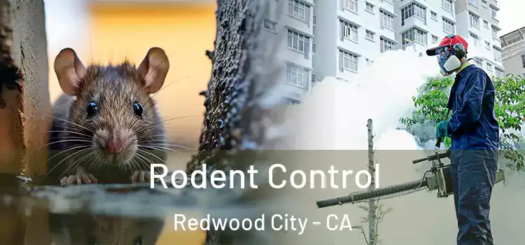  Rodent Control Redwood City - CA