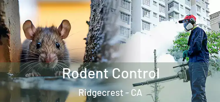  Rodent Control Ridgecrest - CA