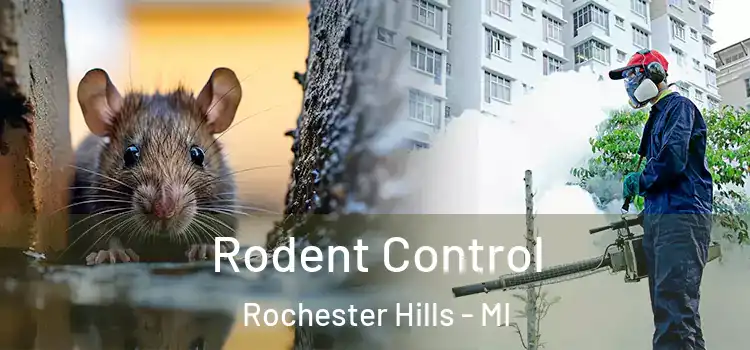 Rodent Control Rochester Hills - MI