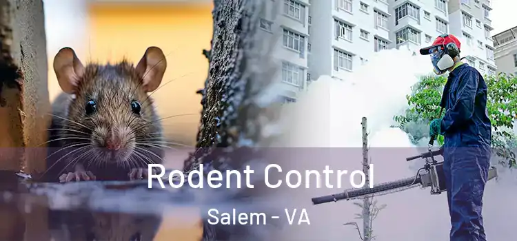  Rodent Control Salem - VA