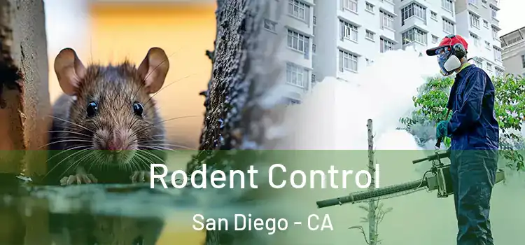 Rodent Control San Diego - CA