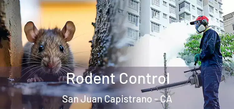  Rodent Control San Juan Capistrano - CA