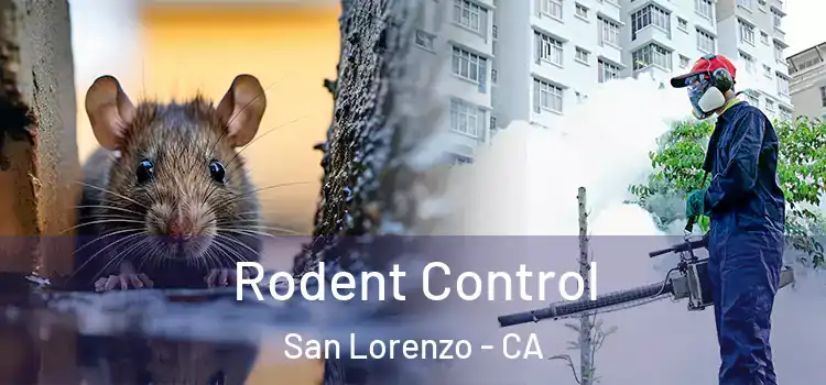  Rodent Control San Lorenzo - CA