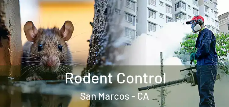  Rodent Control San Marcos - CA