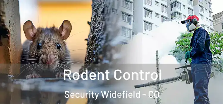 Rodent Control Security Widefield - CO