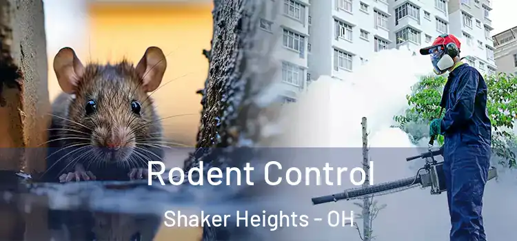  Rodent Control Shaker Heights - OH