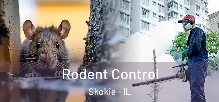  Rodent Control Skokie - IL