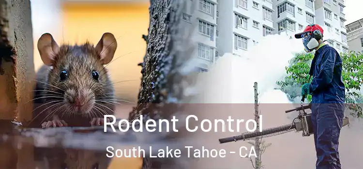  Rodent Control South Lake Tahoe - CA