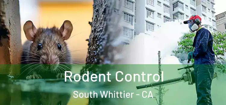  Rodent Control South Whittier - CA