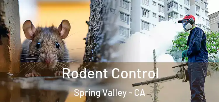 Rodent Control Spring Valley - CA