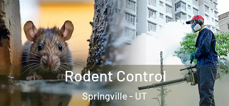 Rodent Control Springville - UT