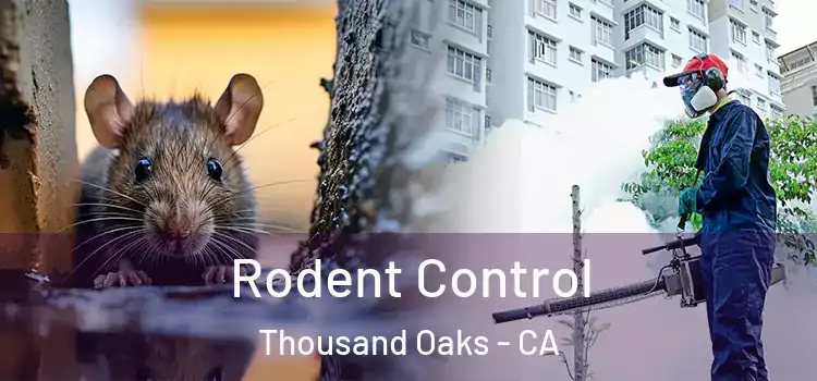  Rodent Control Thousand Oaks - CA