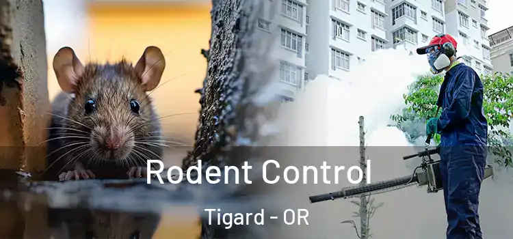  Rodent Control Tigard - OR