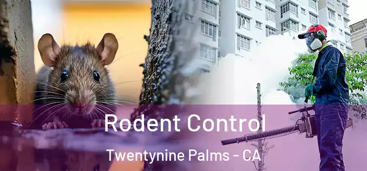  Rodent Control Twentynine Palms - CA