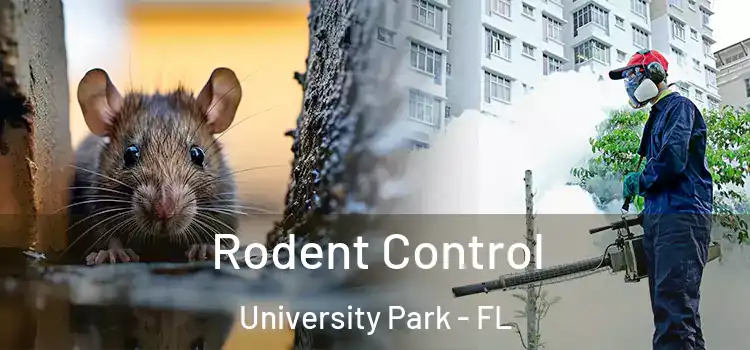 Rodent Control University Park - FL