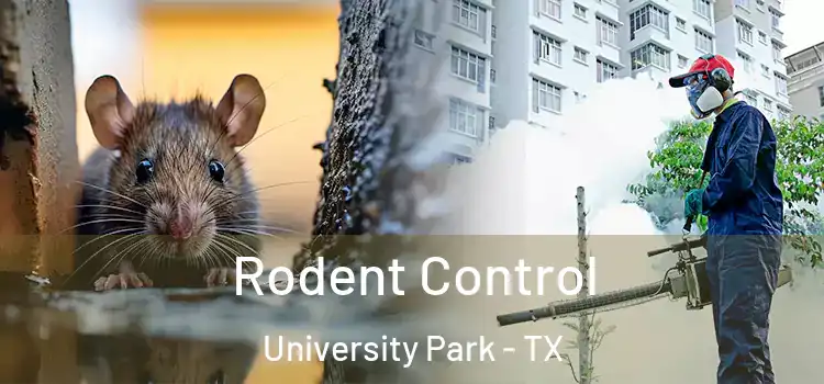 Rodent Control University Park - TX