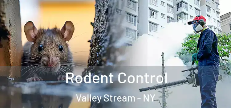 Rodent Control Valley Stream - NY