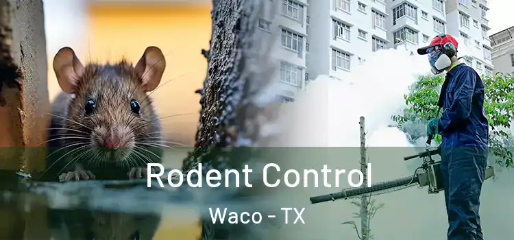  Rodent Control Waco - TX