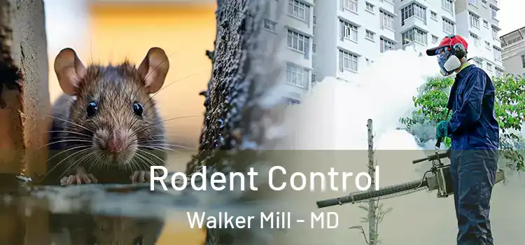  Rodent Control Walker Mill - MD