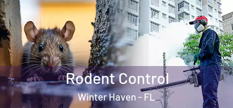  Rodent Control Winter Haven - FL