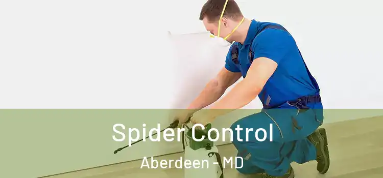 Spider Control Aberdeen - MD