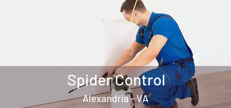  Spider Control Alexandria - VA