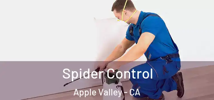  Spider Control Apple Valley - CA