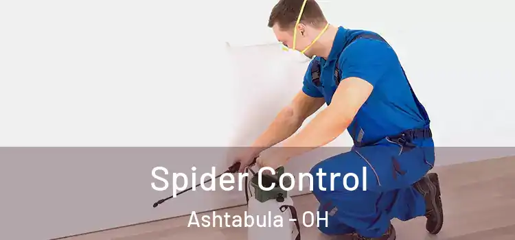  Spider Control Ashtabula - OH