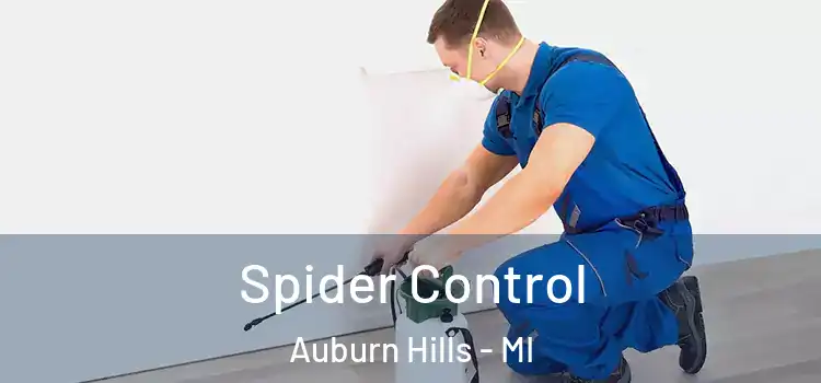  Spider Control Auburn Hills - MI
