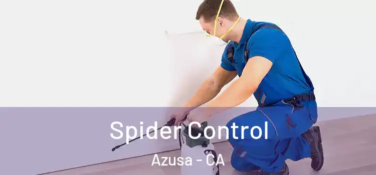  Spider Control Azusa - CA